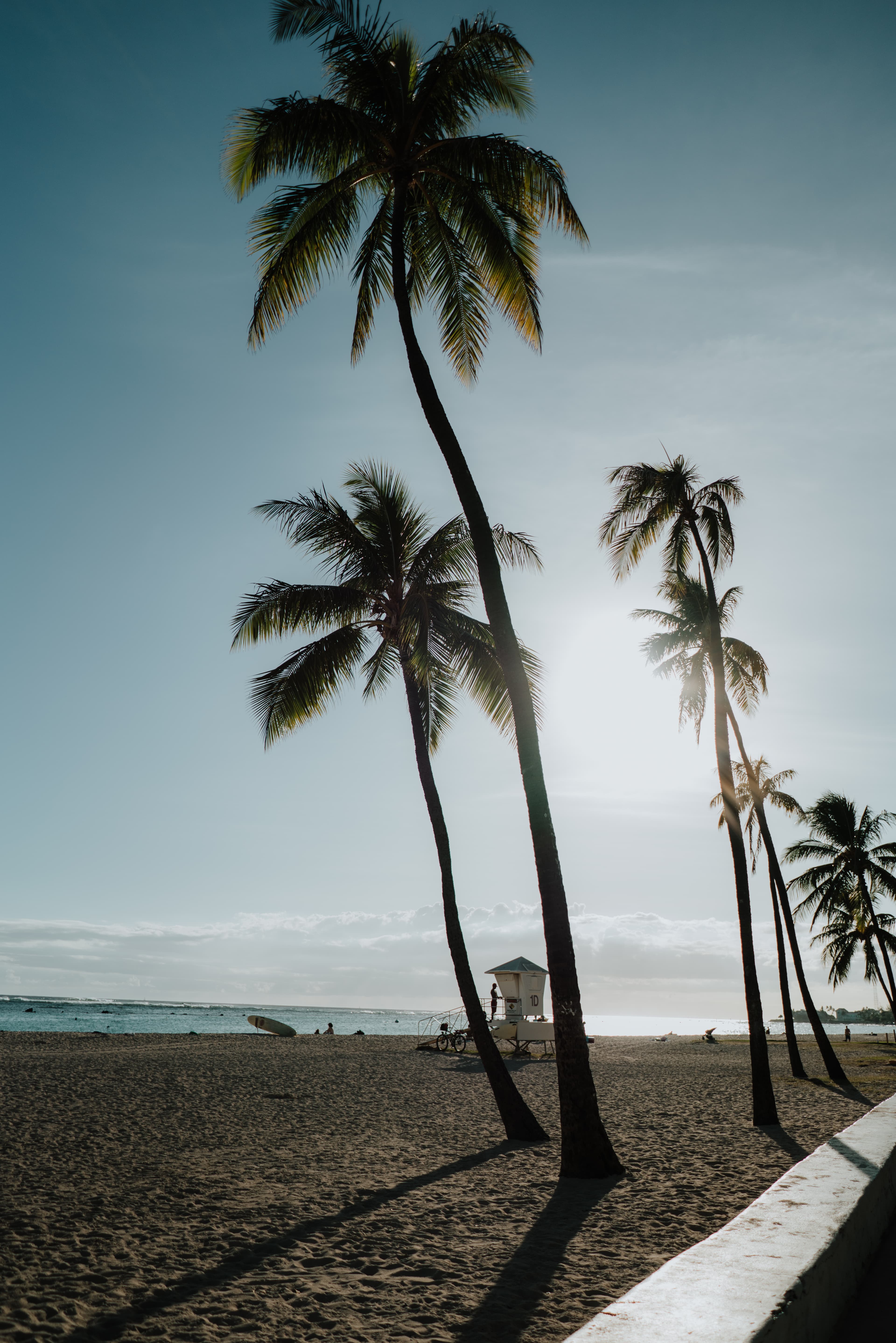 Poolside view of The Arc residences in Labone